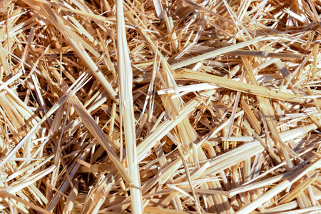 Photo picture Background of The natural texture dry straw