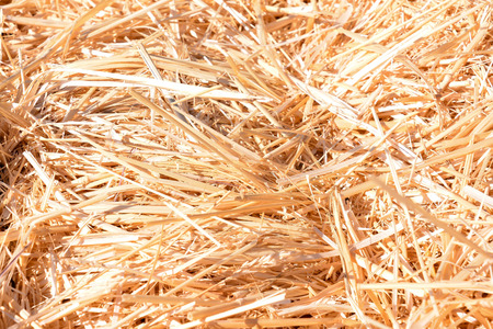 Photo picture Background of The natural texture dry strawの写真素材