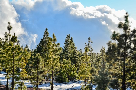 Winter Landscape on the High Mountain Rangeの写真素材