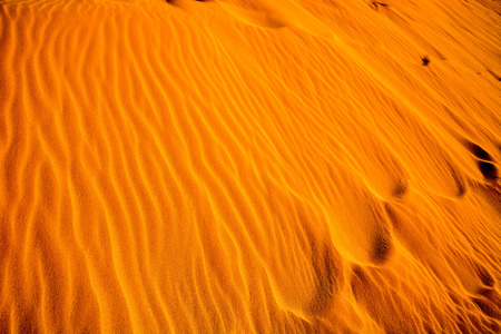 Photo Picture of the Texture Sand Dune Desertの写真素材