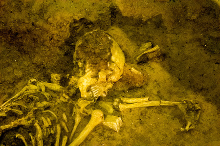 Photo picture Archaeological find skeleton of human beingの写真素材