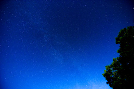 Photo Picture Starry Night Sky with a ot of Stars Background