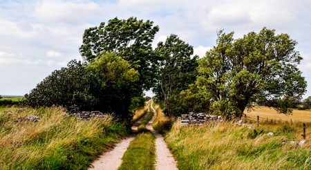 empty road in the countryside in north europeの写真素材