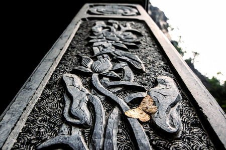 A Buddist Temple Column and a Butterfly in Vietnamの写真素材