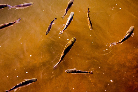 Spanish View Landscape in Tropical Volcanic Canary Islands Spainの写真素材