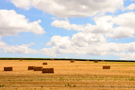 Photo Picture Scenic photography landscape European natural countryside