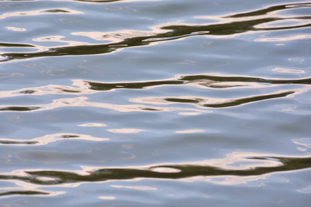 Picture of the Water Pattern Texture Background