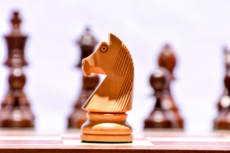 Photo Picture of the Classic Wooden Chess Piece
