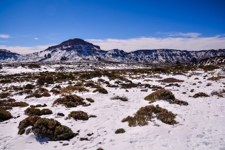 Photo Picture of Snow texture pattern for the backgroundの写真素材