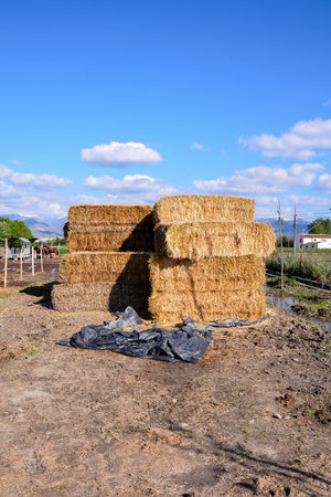 Photo picture Autumn rural landscape with hay bale, and farm