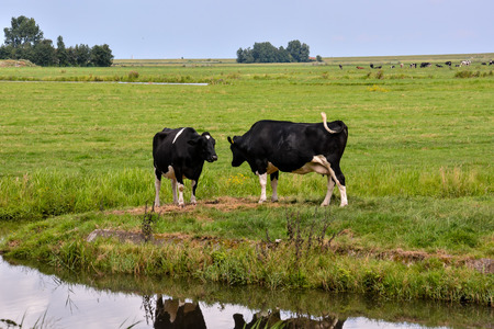 Photo Picture Scenic photography landscape European natural countrysideの写真素材