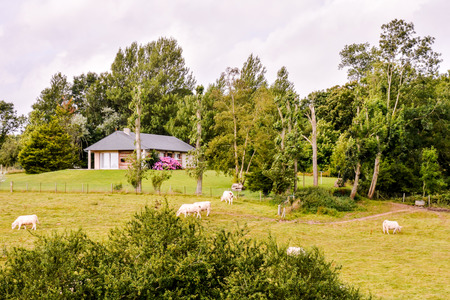 Photo Picture Scenic photography landscape European natural countrysideの写真素材