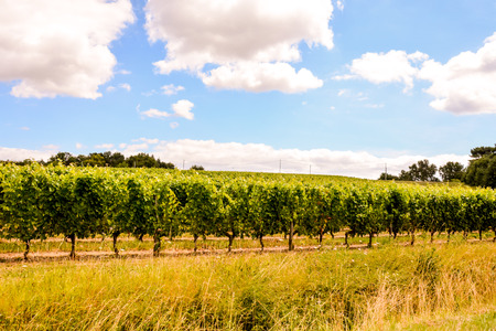 Photo Picture Scenic photography landscape European natural countrysideの写真素材