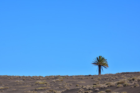 Volcanic landscapes on Timanfaya Lanzarote Canary Islands Spainの写真素材