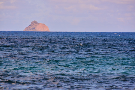 Spanish View Landscape lanzarote, in Tropical Volcanic Canary Islands Spainの写真素材