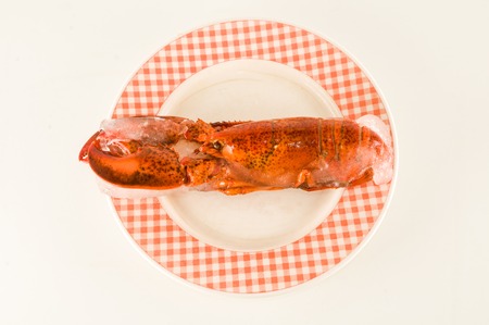 Photo picture of a delicious freshly steamed lobsterの写真素材