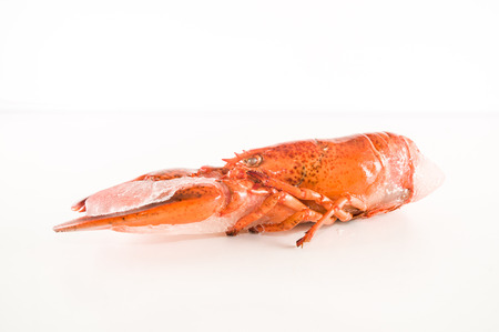 Photo picture of a delicious freshly steamed lobsterの写真素材