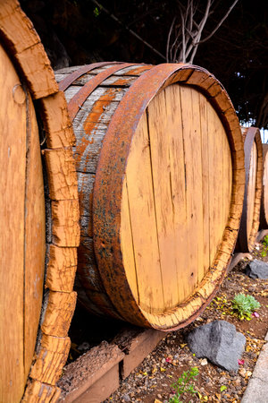 Photo Picture of a Classic Wooden Wine Barrel