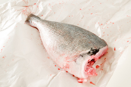 Fresh dorada fish decorated sea bream ready to be cookedの写真素材