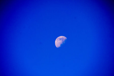 Photo Picture of the Moon in Night Sky