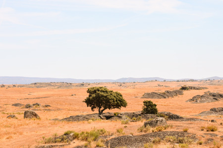 Photo Picture Scenic photography landscape European natural countrysideの写真素材