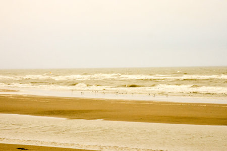 Photo Picture of the Beautiful Ocean Coast's Viewの写真素材