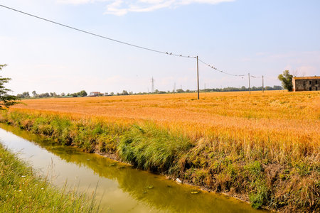 Photo pictureLandscape of The Po Delta River in Italyの写真素材