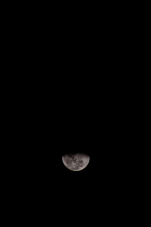 Photo Picture of the Moon in Night Skyの写真素材
