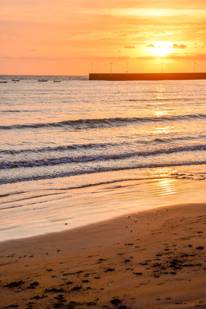 Photo Picture of the Beautiful Ocean Coast's Viewの写真素材