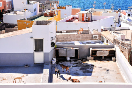 Sea Village at the Spanish Canary Islands.の写真素材