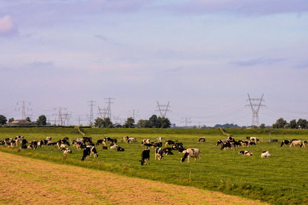 Photo Picture Scenic photography landscape European natural countryside
