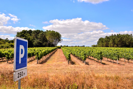 Photo Picture Scenic photography landscape European natural countrysideの写真素材