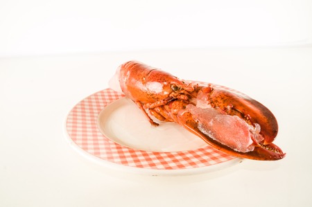 Photo picture of a delicious freshly steamed lobsterの写真素材