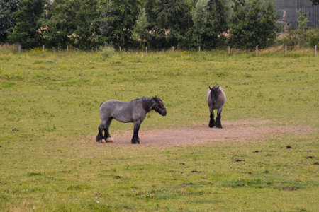 Photo Picture Scenic photography landscape European natural countrysideの写真素材