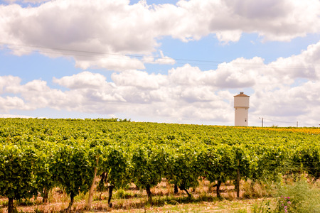 Photo Picture Scenic photography landscape European natural countrysideの写真素材