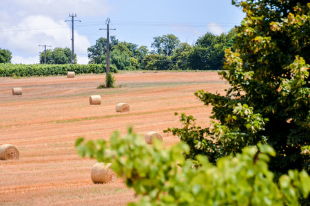 Photo Picture Scenic photography landscape European natural countrysideの写真素材