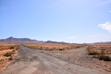 Spanish View Landscape in Fuerteventura Tropical Volcanic Canary Islands Spain