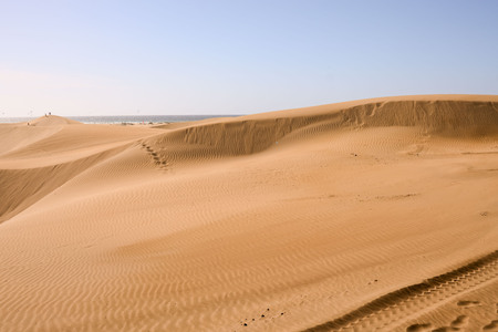 Photo Picture of a Beautiful Dry Desert Landscape in Maspalomas Gran Canaria Canary Islandsの写真素材