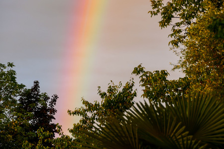 Photo of The Rainbow after the stormの写真素材