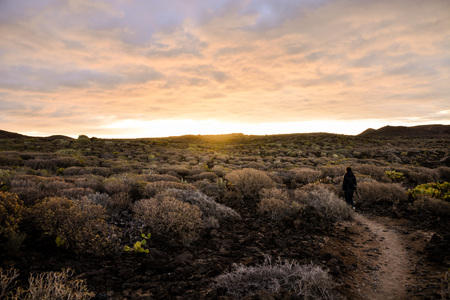 Photo Picture of a Dirt road leading off into the desertの写真素材