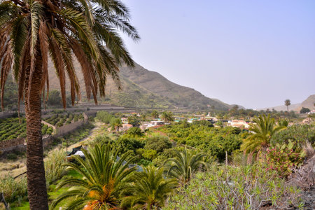 Photo Picture Scenic photography landscape European natural countryside in Agaete Gran canaria...