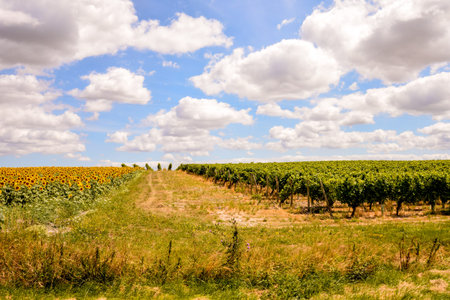 Photo Picture Scenic photography landscape European natural countryside