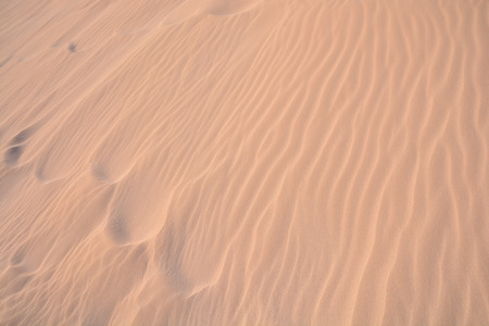 Photo Picture of the Texture Sand Dune Desertの写真素材