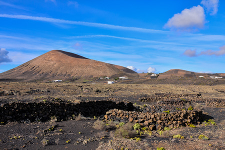 Vineyards in La Geria Lanzarote canary islands Spainの写真素材