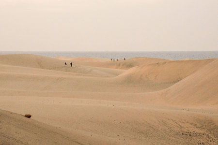 Photo Picture of a Beautiful Dry Desert Landscape in Maspalomas Gran Canaria Canary Islandsの写真素材