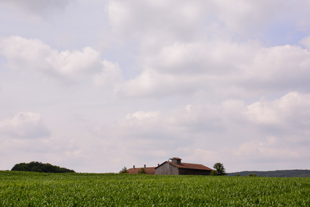 Photo Picture View of Cultivated Field in the countrysideの写真素材