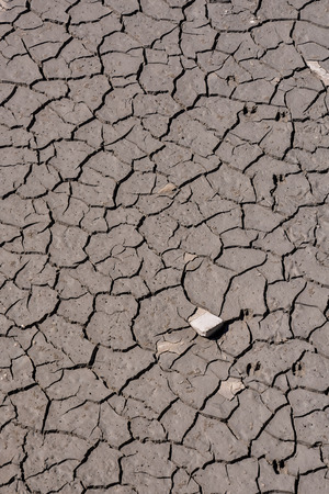 Photo Picture of Dry cracked mud earth textureの写真素材