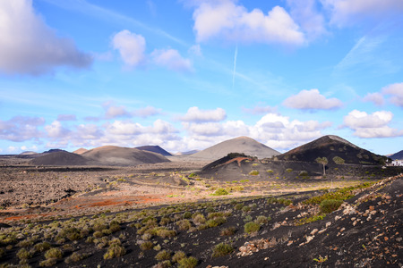 Vineyards in La Geria Lanzarote canary islands Spainの写真素材