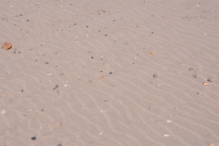 Photo picture closeup sand texture pattern of a beach in the summerの写真素材