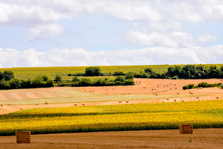 Photo Picture Scenic photography landscape European natural countrysideの写真素材